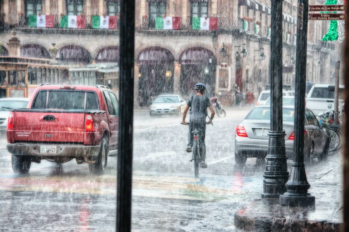 Meteo Milano, allagamenti e alberi inclinati: Seveso e Lambro monitorati article-post