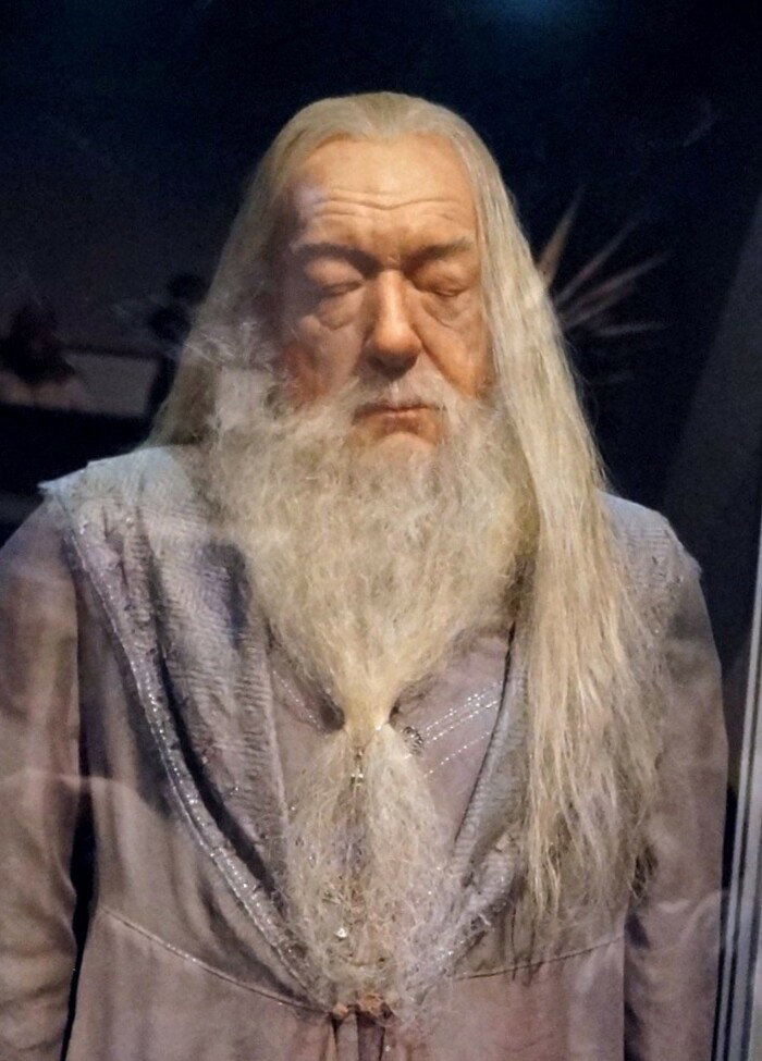 Michael Gambon è morto all’età di 82 anni. Famoso per aver interpretato Dumbledore nei film di Harry Potter article-post