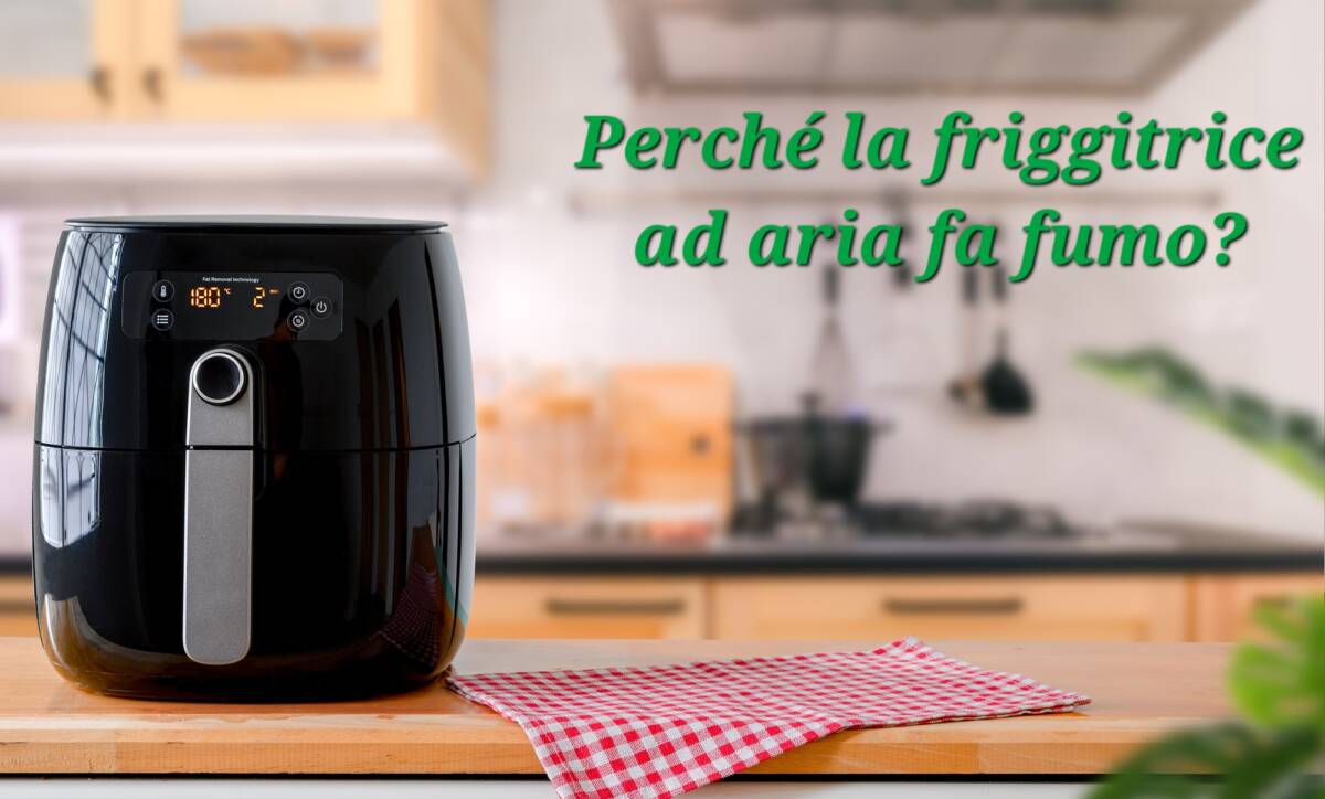 Perché la mia friggitrice ad aria fa fumo? article-post