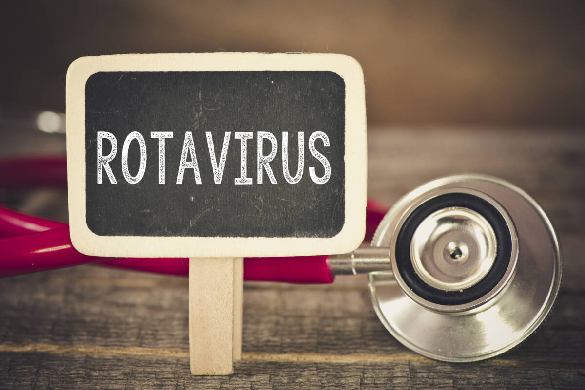 Che cos’è il rotavirus, la malattia che ha fatto chiudere le spiaggie di Venere Azzurra e San Terenzio article-post