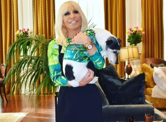 Donatella Versace furiosa con il governo Meloni: “Ci state togliendo la libertà d’amare” article-post