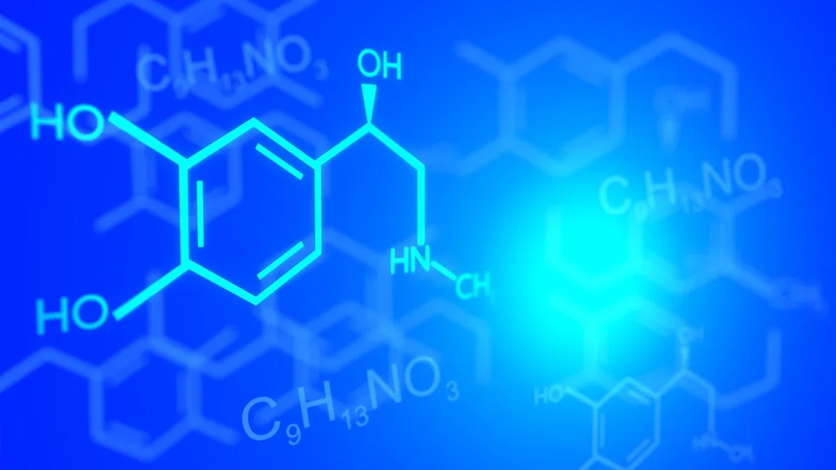 Premio Nobel, fuga di notizie nel mondo delle scienze, a chi sarà conferito? article-post