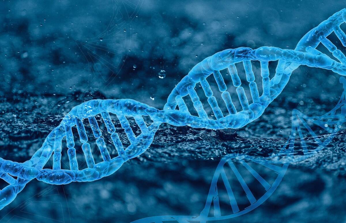 Nuova legge sulla natura e l’evoluzione post darwiniana: la pubblicano nove scienziati e filosofi article-post