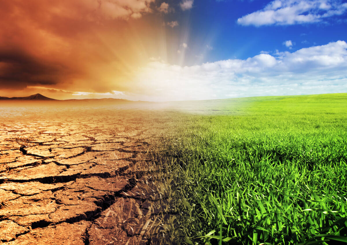 Coldiretti lancia l’allarme sull’agricoltura: il 2023 è l’anno più caldo mai registrato sul pianeta article-post