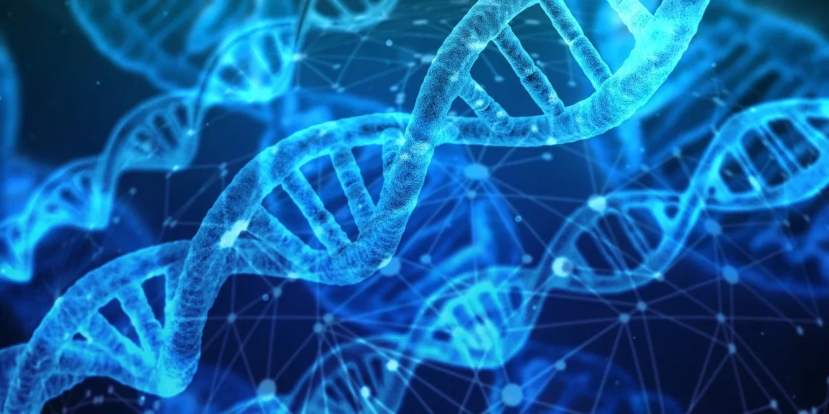 Un nuovo farmaco contro il cancro colpisce la vulnerabilità genetica dei tumori article-post