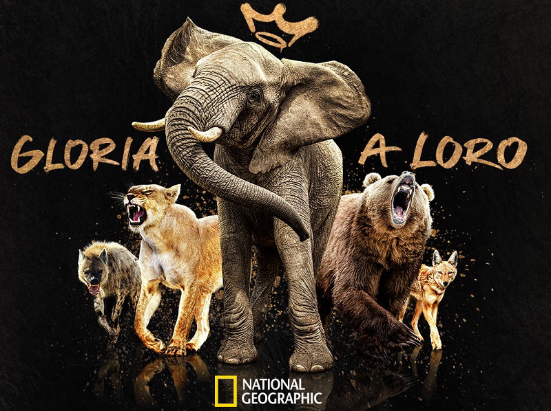 Queens: Le Regine della Natura article-post