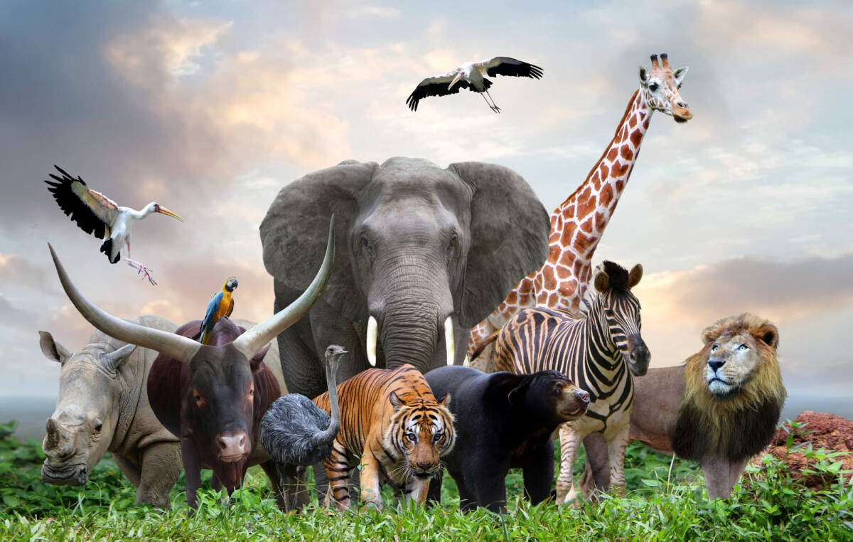 Scopri l’animale preistorico dai denti più affilati article-post