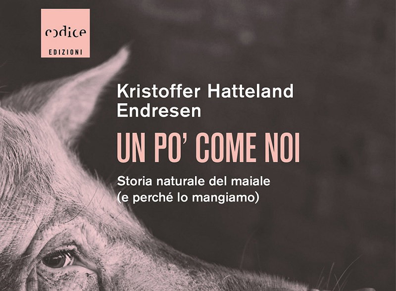 Un pò come noi article-post