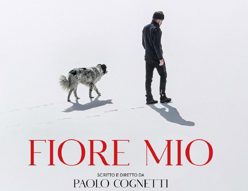 “Fiore mio”,al cinema solo il 25, 26 e 27 novembre article-post