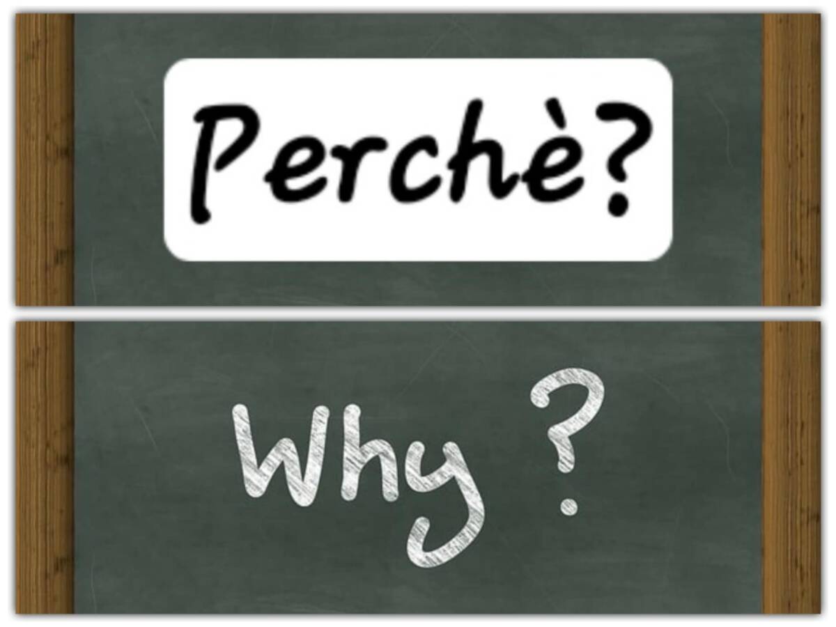 Vi presentiamo la rubrica “i perché di April e Frank'” article-post