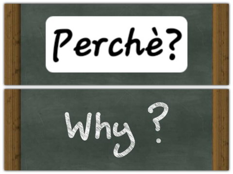 Vi presentiamo la rubrica “i perché di April e Frank'” preview