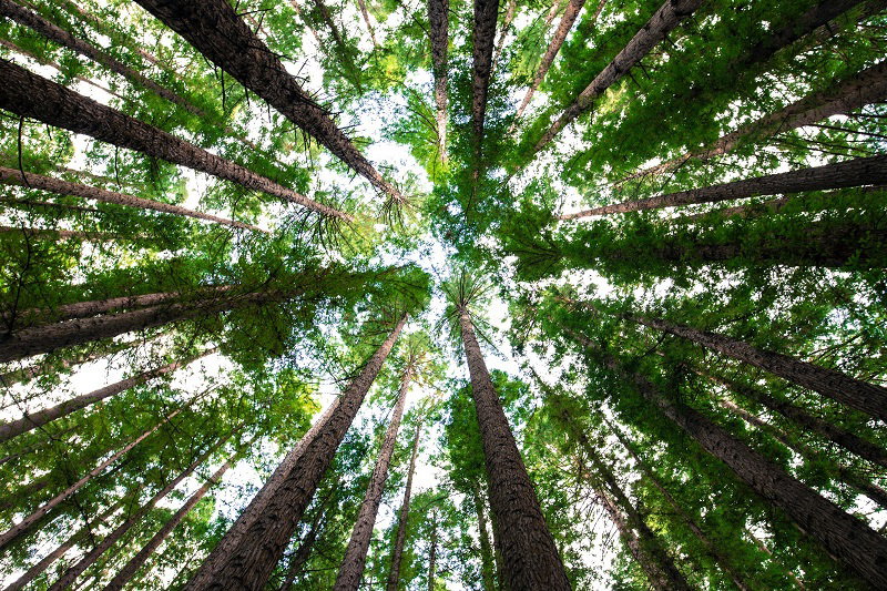 Torna EcoSanFra, il festival dedicato alla sostenibilità, dal 25 al 27 settembre a Perugia article-post