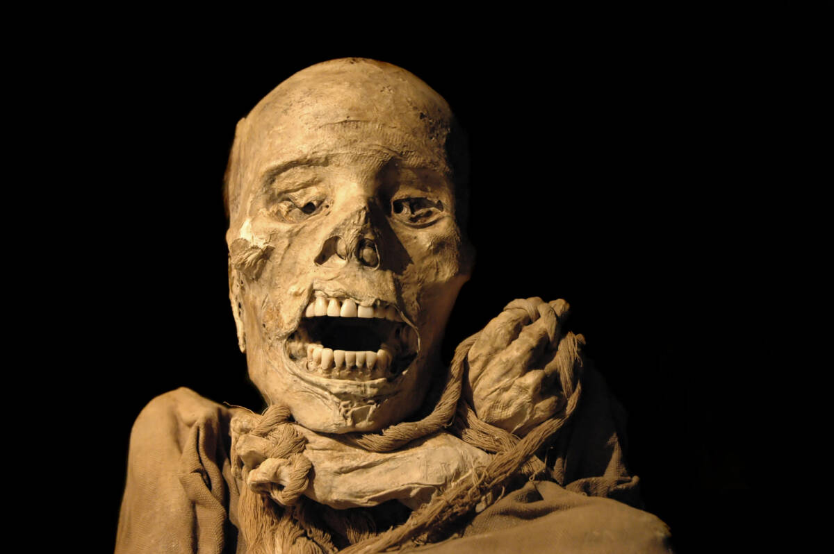 Cosa sono i tatuaggi misteriosi rinvenuti su una mummia di 800 anni fa ? article-post