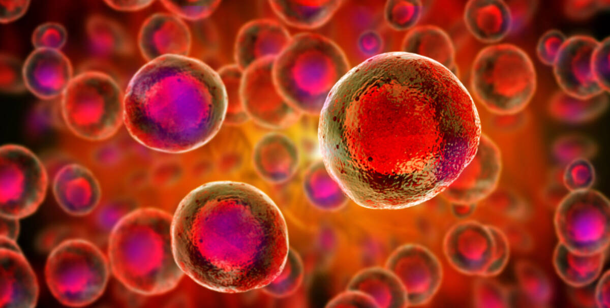 Scoperta una struttura nascosta nelle cellule umane article-post