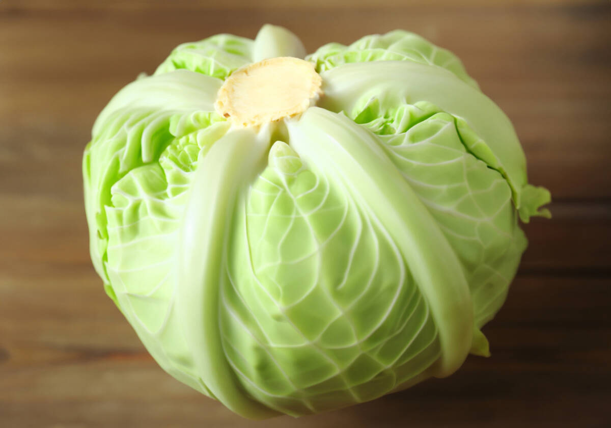 Perché il cavolo è il superfood che manca alla tua dieta article-post