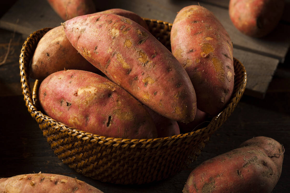 Perché le patate dolci sono un superalimento da provare article-post