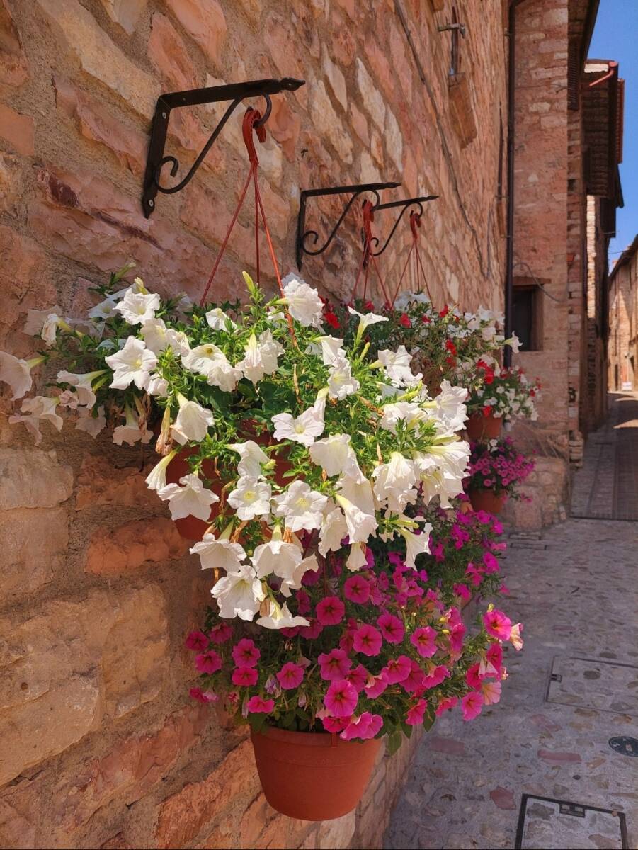 Spello photocredit Quotidianpost.it