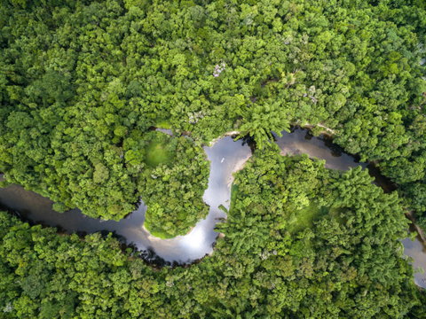 E se ti dicessimo che l’Amazzonia era progettata come una metropoli verde? preview