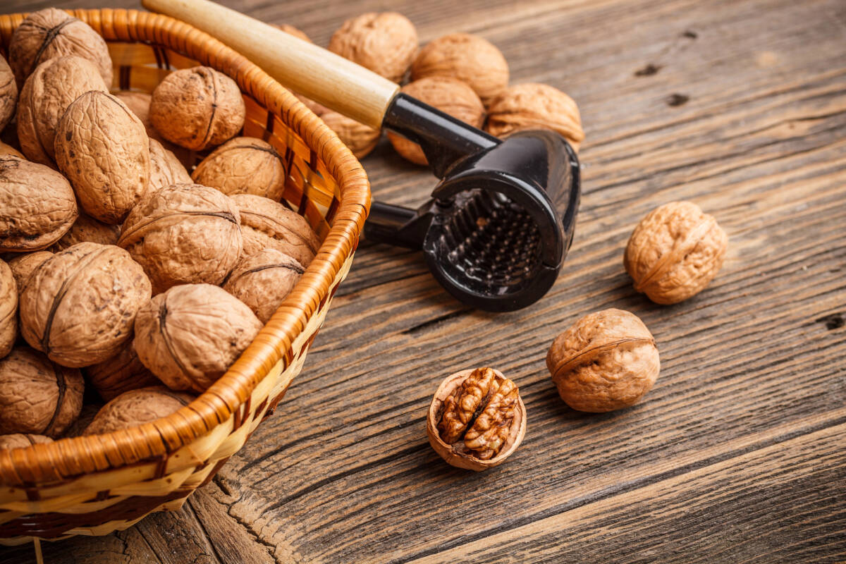 Dal cibo all’olio: tutti gli usi delle noci, molto più di un semplice frutto article-post