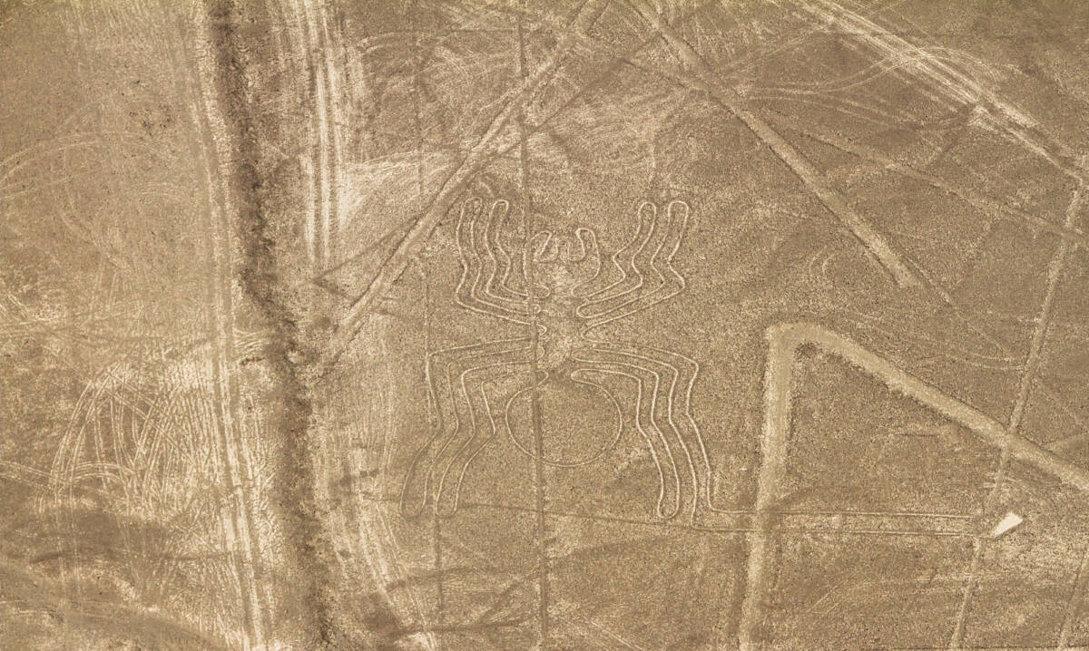 Un segreto nascosto per 2000 anni: la verità sulle linee di nazca secondo l’IA article-post