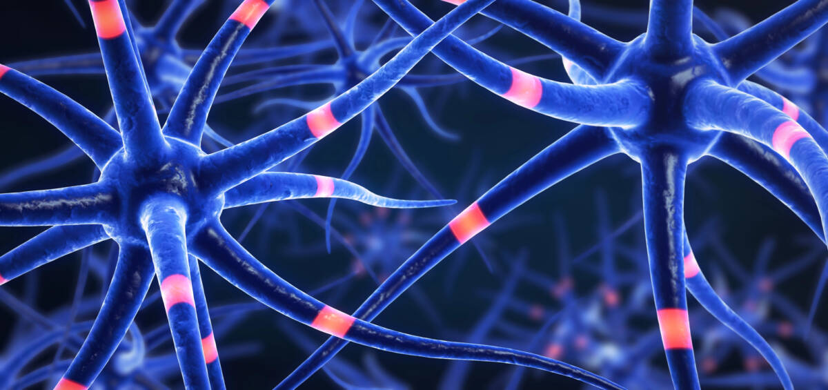 Come alcuni cibi possono ridurre i sintomi del morbo di parkinson article-post