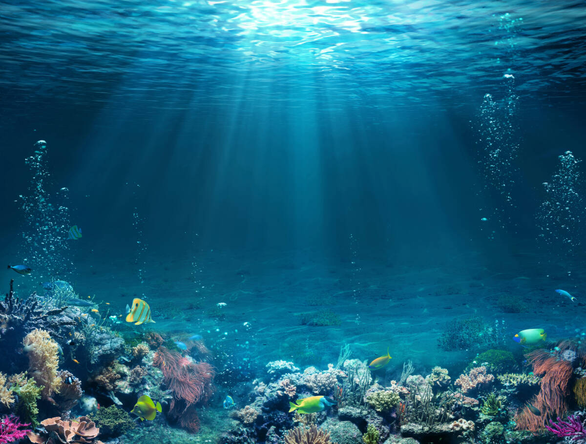 Migliaia di buchi perfetti sul fondo dell’oceano: la spiegazione è sorprendente article-post