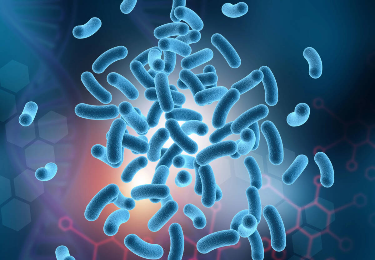 Nel cervello tracce di microbi: così influenzano il sonno umano article-post