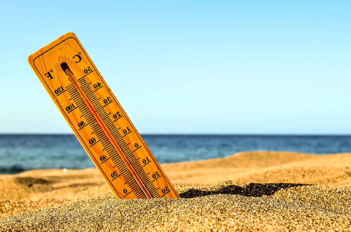 Ecco le regioni più colpite dall’ondata di caldo e le drammatiche conseguenze article-post
