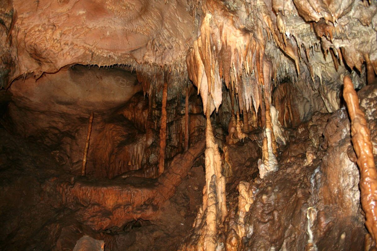 Archeologi sconvolti da una grotta in Israele: potrebbe cambiare la storia della Bibbia article-post