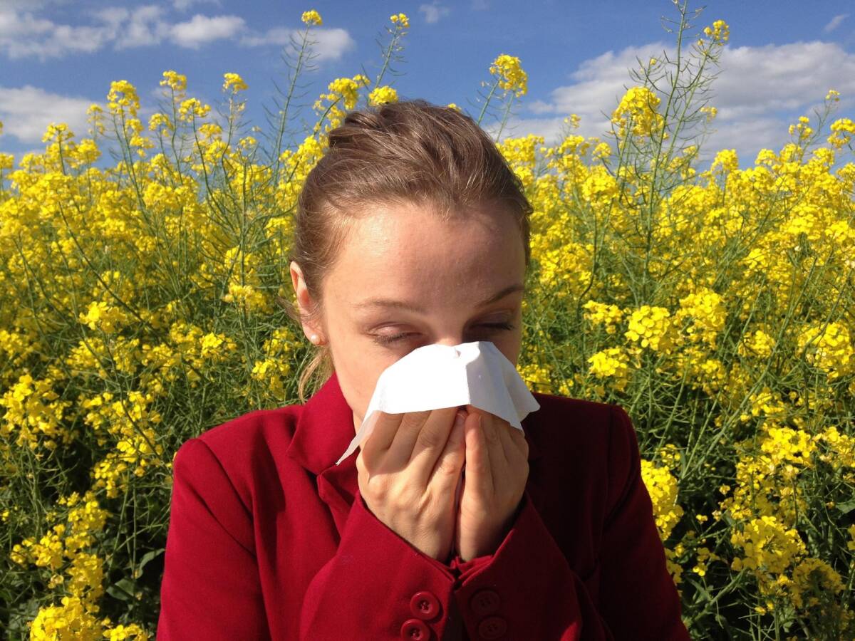 Allergie stagionali addio? I rimedi naturali che funzionano davvero article-post
