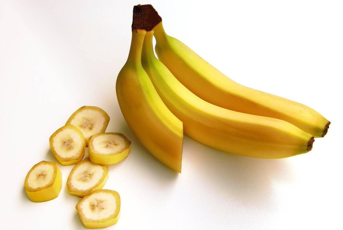 Il trucco per far crescere un banano anche nei climi più rigidi article-post