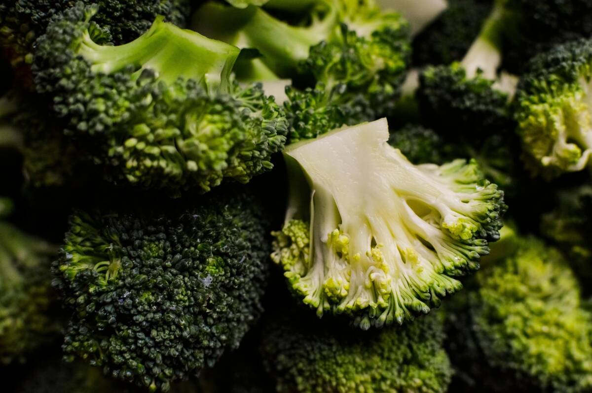 L’alimento naturale che aiuta a prevenire malattie e rafforzare il corpo article-post