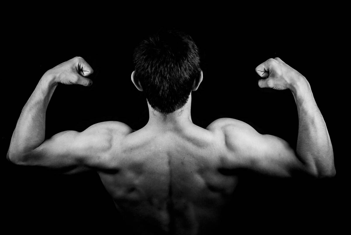 Bruciare grassi e aumentare muscoli insieme? Scopri la strategia che sta rivoluzionando il fitness article-post