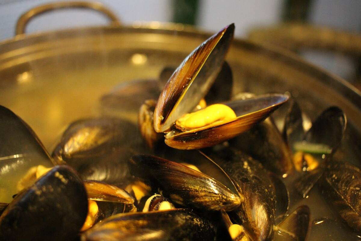 Cosa non fare mai quando prepari le cozze a casa article-post