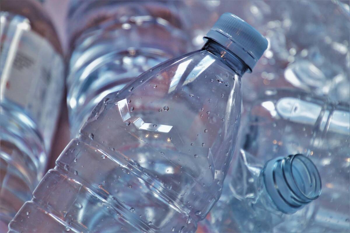 Microplastiche ovunque? Ecco come gli antociani potrebbero diventare un’arma naturale article-post