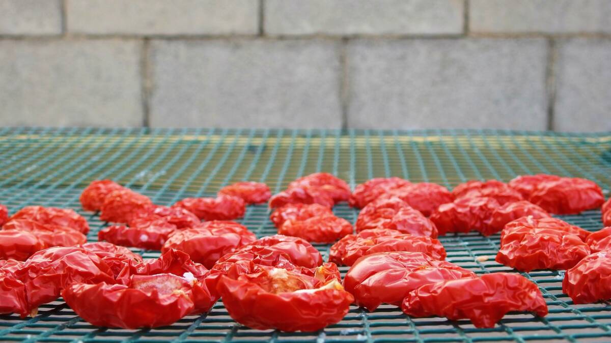 Pomodori secchi: l’ingrediente segreto che trasforma ogni ricetta in un capolavoro article-post