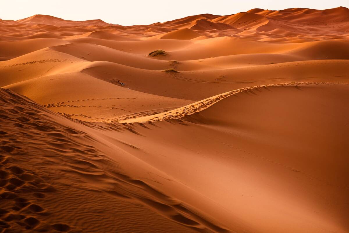 Il film che ha incantato gli occhi e spiazzato la mente: la verità su Dune 1984 article-post