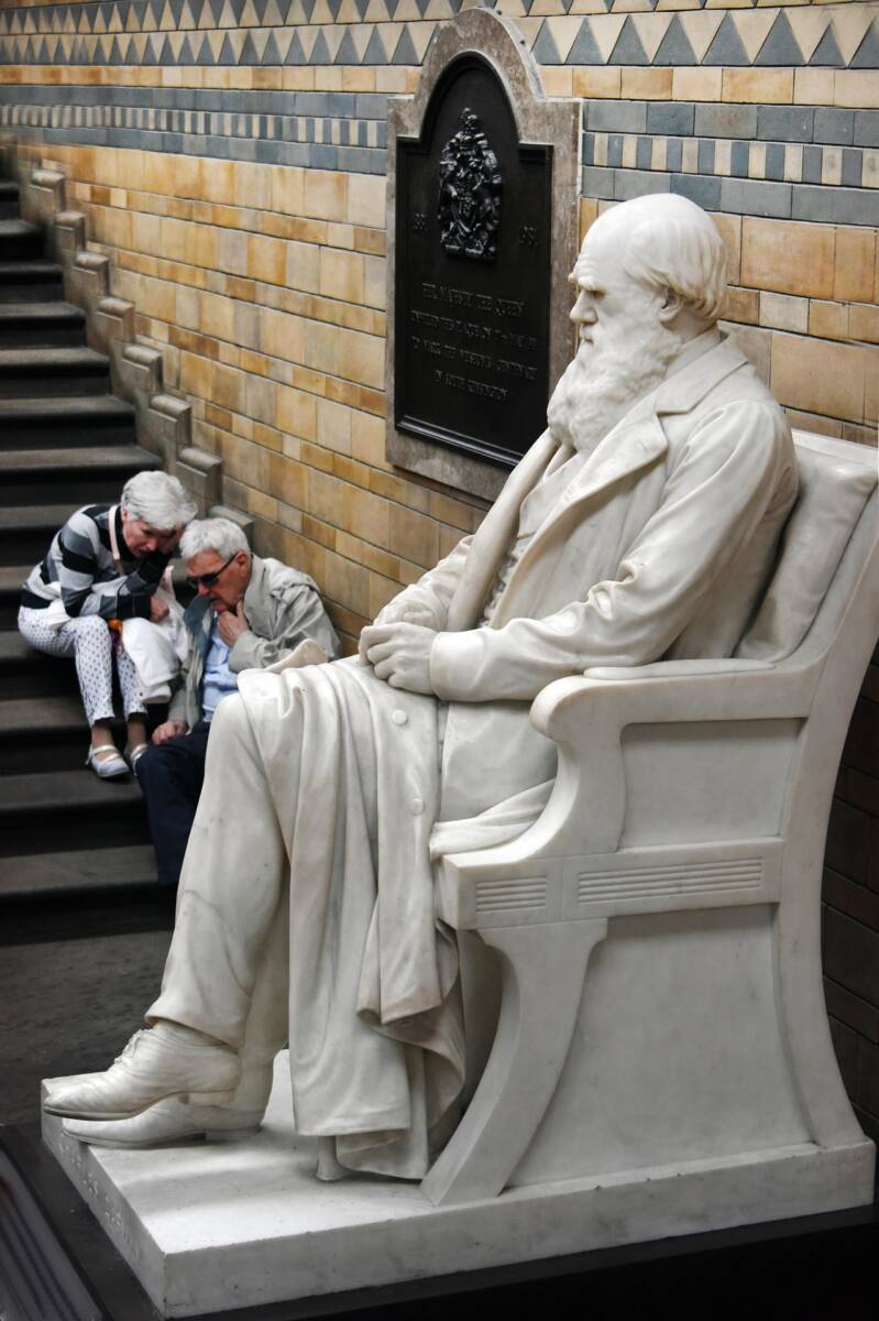 Chi era davvero Darwin, oltre alla teoria dell’evoluzione article-post