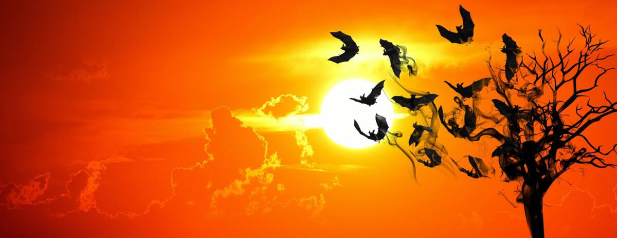 Scoperto un pipistrello che non vola ma striscia all’indietro article-post