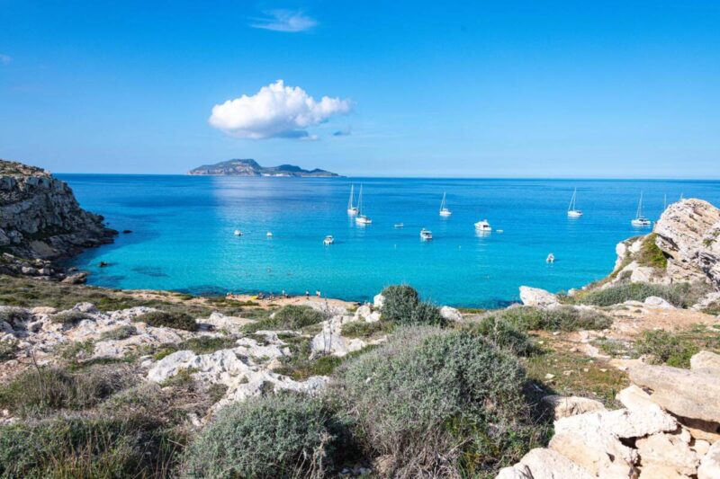 FestivalFlorio: il programma dell’edizione 2026 (Favignana, dal 28 giugno al 5 luglio) article-post