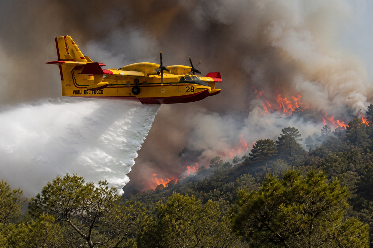 Da 10.000 euro l’ora: il prezzo altissimo degli incendi e cosa rischia chi li provoca article-post