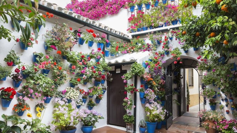 diario viaggio cordoba