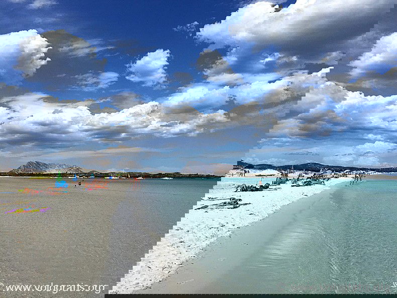 Le spiagge di San Teodoro e dintorni: consigli utili preview