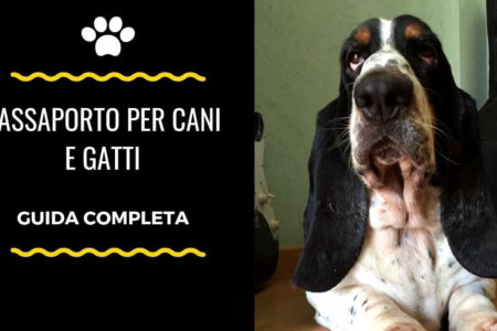 passaporto cane gatto