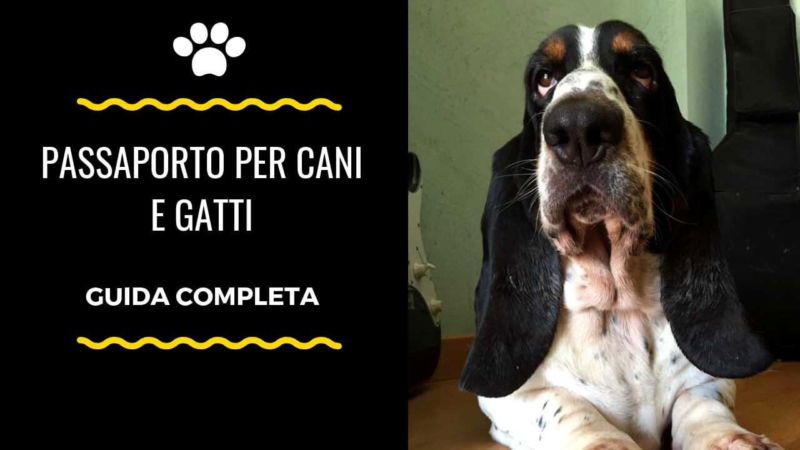 passaporto cane gatto
