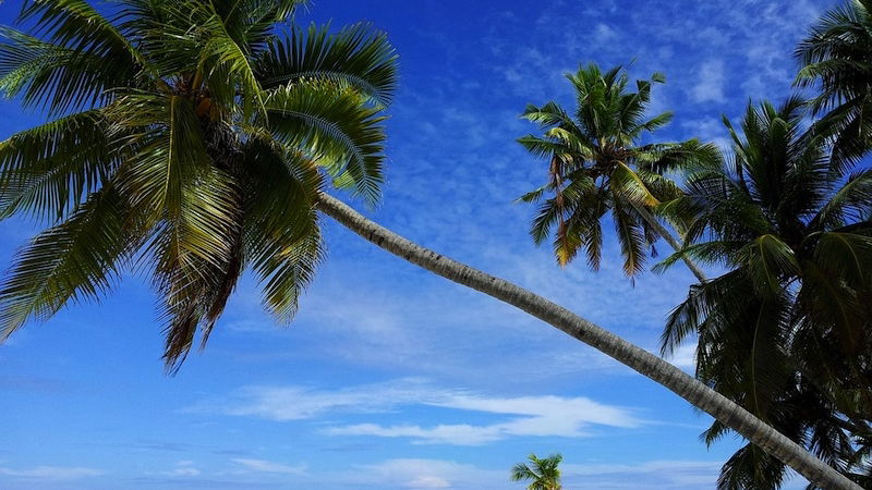 concorso per vincere un viaggio alle maldive