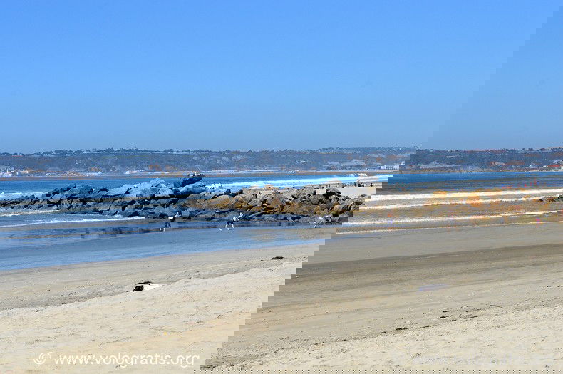 foto san diego spiaggia coronado beach