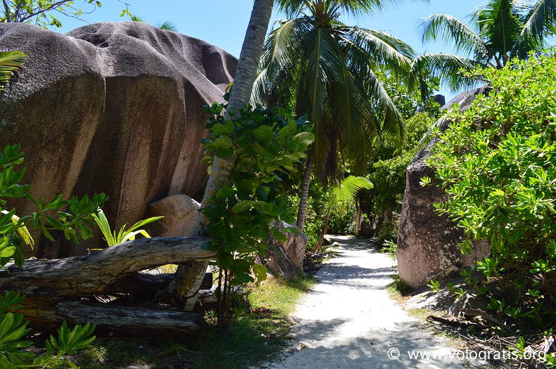 foto seychelles natura