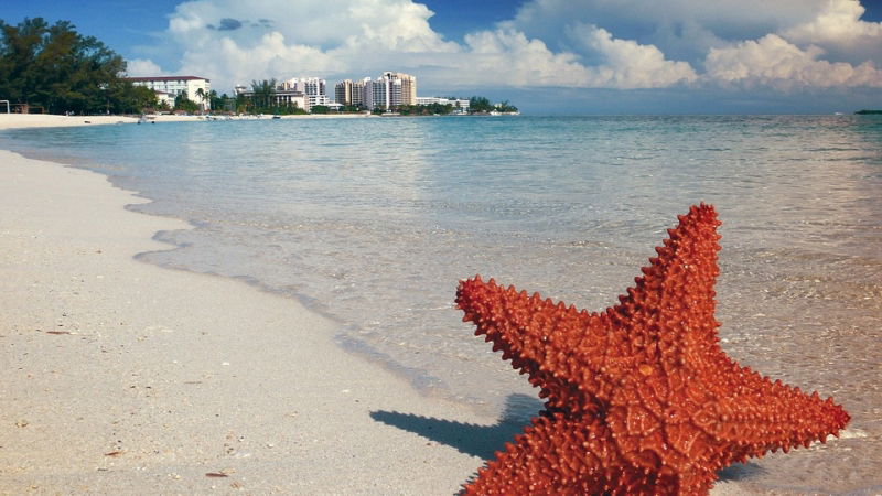 vinci un viaggio alle bahamas