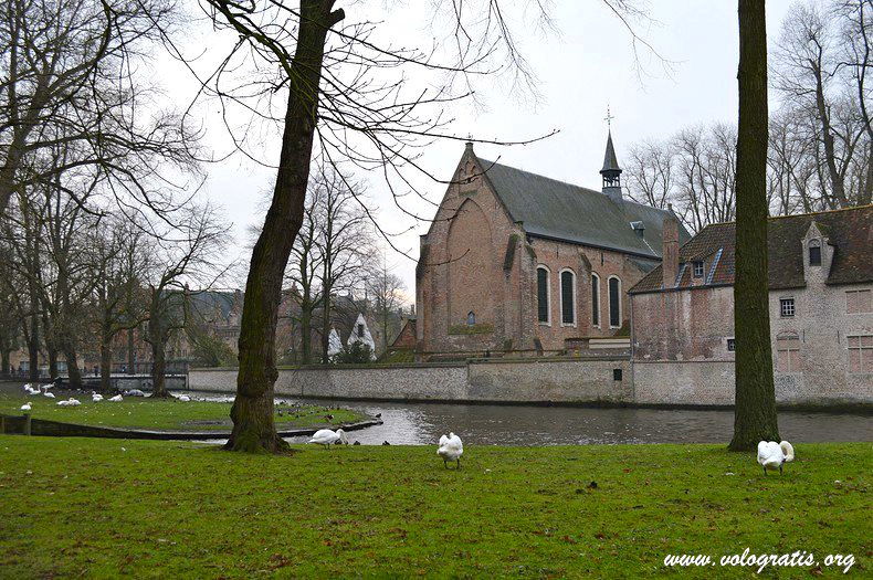 foto bruges belgio